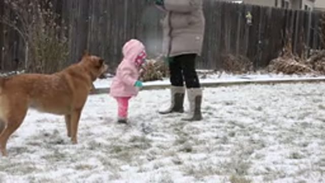 WESTMINSTER COLORADO-2015: A Woman Playing Fetch In The Snow With A Dog Outside