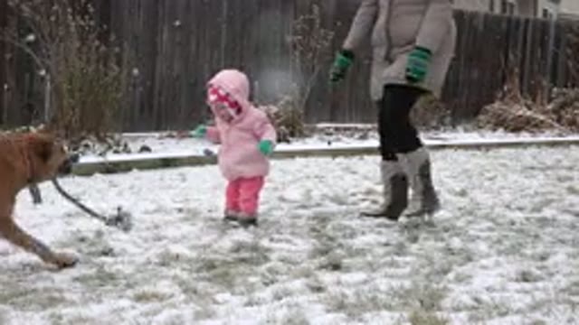 WESTMINSTER COLORADO-2015: A Cute Little Girl Her Mother And Dog Playing In The Snow