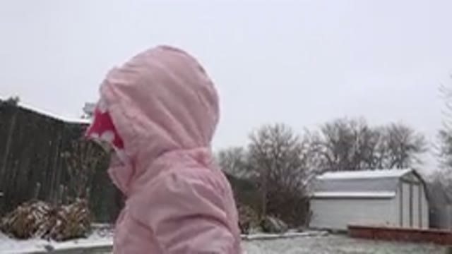 WESTMINSTER COLORADO-2015: Child In Pink Snowsuit Plays In The Snow