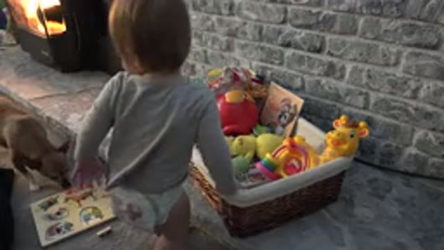 WESTMINSTER COLORADO-2015: Baby Looking For A Toy With His Dog Near Playhouse