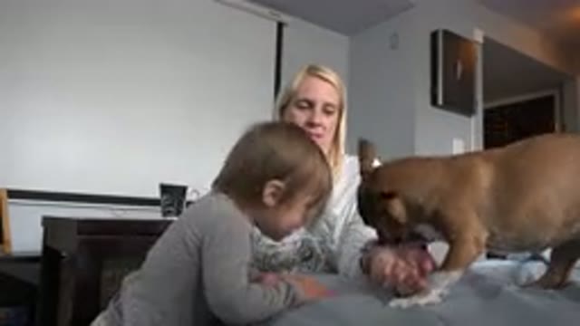 WESTMINSTER COLORADO-2015: Child Has Fun Playing At The Table With His Dog