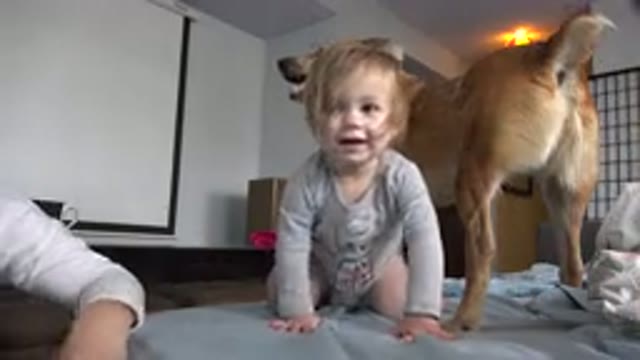 WESTMINSTER COLORADO-2015: Little Cute Toddler Bouncing On The Mattress With Her