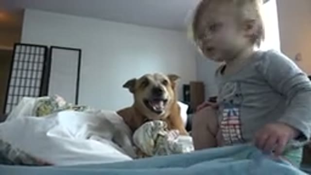 WESTMINSTER COLORADO-2015: Dog And A Baby Sitting On A Bed In A Room