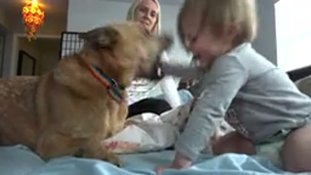WESTMINSTER COLORADO-2015: Mother Filming Her Son Playing With a Dog