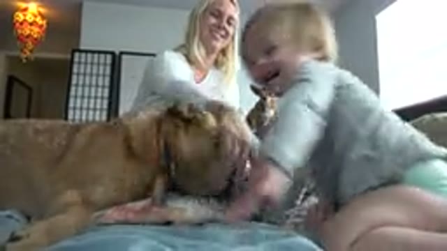WESTMINSTER COLORADO-2015: Baby Playing With Dog While Mother And Another Dog