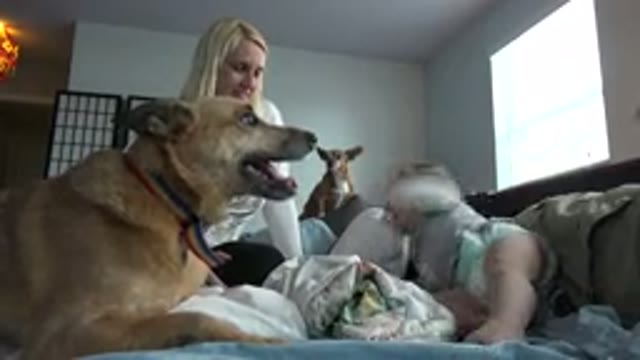 WESTMINSTER COLORADO-2015: Mother Daughter And Dogs On A Bed With Blue Blanket