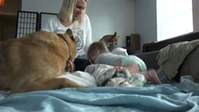 WESTMINSTER COLORADO-2015: Mom And Baby Sitting On Couch With Two Dogs