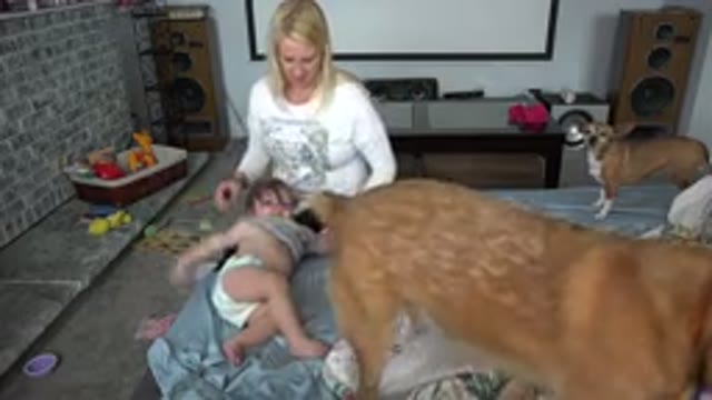 WESTMINSTER COLORADO-2015: Mother Struggles To Put Shirt On Baby As It Rolls