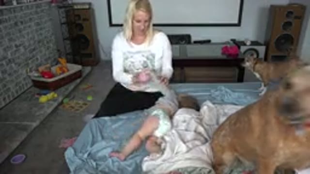 WESTMINSTER COLORADO-2015: Woman Changing The Clothes Of A Baby With Two Dogs In