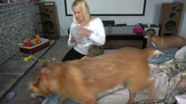 WESTMINSTER COLORADO-2015: Mom Plays With Her Baby