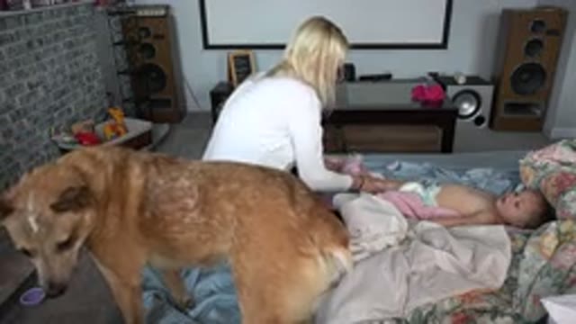 WESTMINSTER COLORADO-2015: Blonde Mother Changes Baby's Diaper While A Big Dog