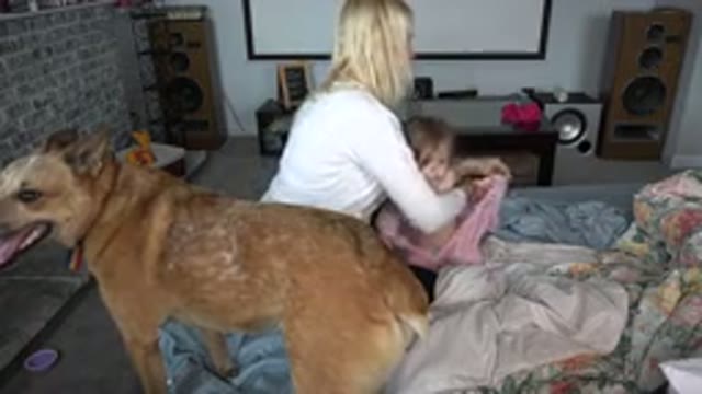 WESTMINSTER COLORADO-2015: Woman Changing Infant's Clothing On Floor With Large Dog