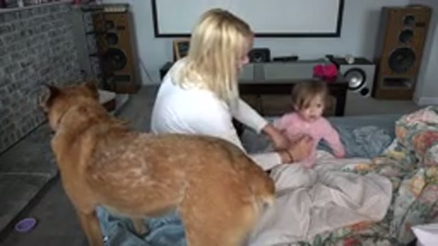 WESTMINSTER COLORADO-2015: Mom Fixes Her Baby Daughter's Hair