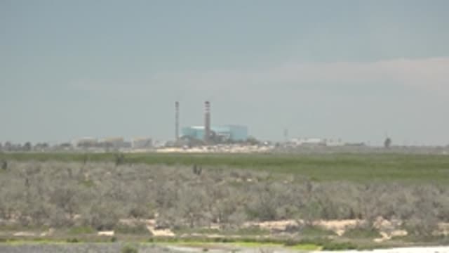 SAN CARLOS BCS MEXICO-2022: Cacti Field with Distant Industrial Structures