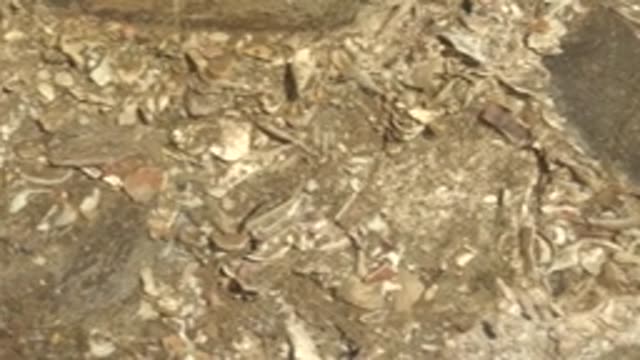 LA BOCANA BCS MEXICO-2022: Pottery Shards Scattered on Construction Ground