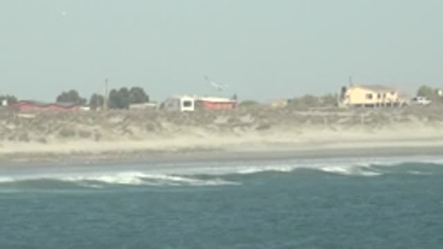 LA BOCANA BCS MEXICO-2022: Seagull Soars Over Sandy Beach With Dunes And Homes