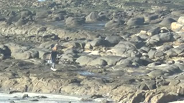 LA BOCANA BCS MEXICO-2022: Person Collecting Items on Rocky Shoreline