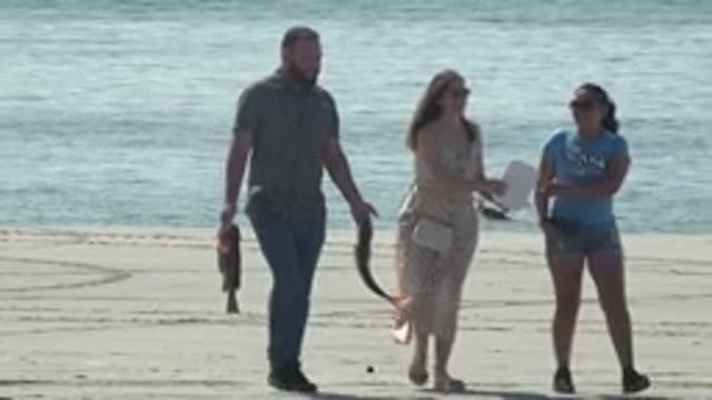 LA BOCANA BCS MEXICO-2022: Beachgoers Walking with Fish on Shore