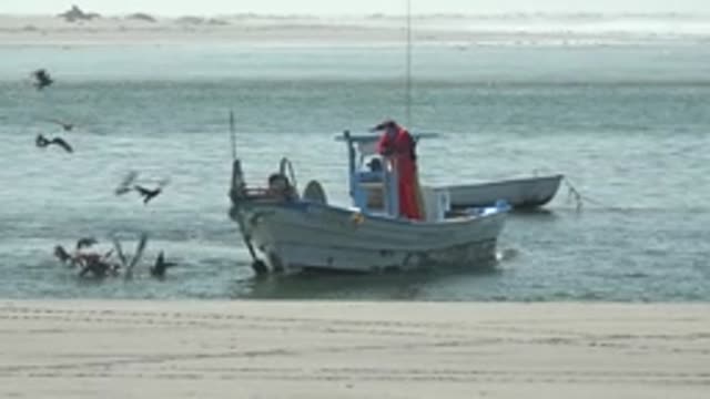 LA BOCANA BCS MEXICO-2022: Fishing Boat and Seagulls Approaching Shore