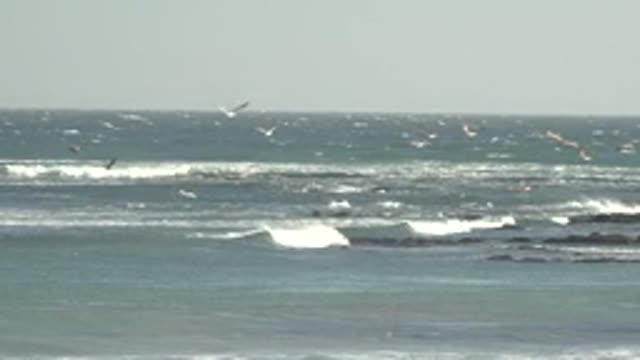 LA BOCANA BCS MEXICO-2022: Ocean Waves Crashing Against Rocks with Seagulls Flying