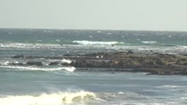 LA BOCANA BCS MEXICO-2022: Waves Crashing on Rocky Shore with Flying Seabirds
