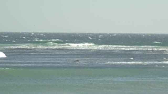 LA BOCANA BCS MEXICO-2022: Waves Breaking and Moving Across the Ocean Surface