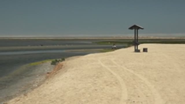 GUERRERO NEGRO BCS MEXICO-2022: Person Walking by Water's Edge on Sandy Bank