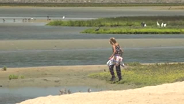 GUERRERO NEGRO BCS MEXICO-2022: Child Walking Along Marshy Shore with Birds
