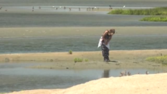 GUERRERO NEGRO BCS MEXICO-2022: Person Adjusting Hair on Wet Sandy Shore with Birds