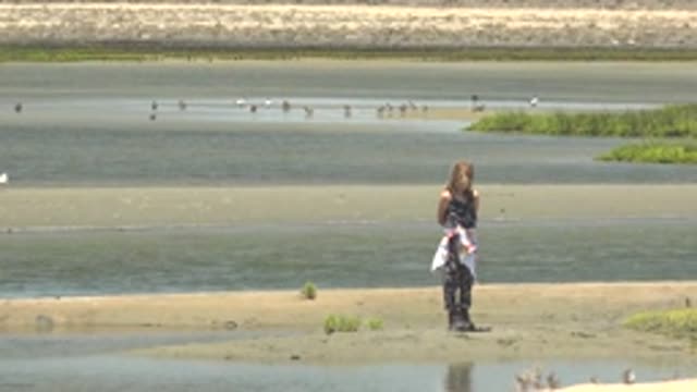 GUERRERO NEGRO BCS MEXICO-2022: Child Observing Waterfowl in Shallow Wetland