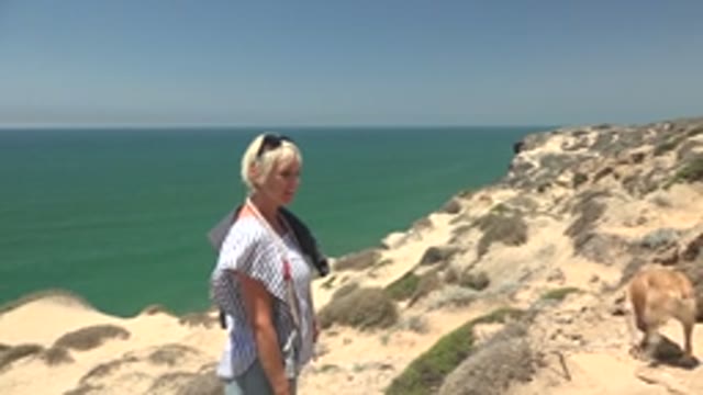SAN QUINTIN BC MEXICO-2022: Person and Dog Walking on Coastal Cliff Path