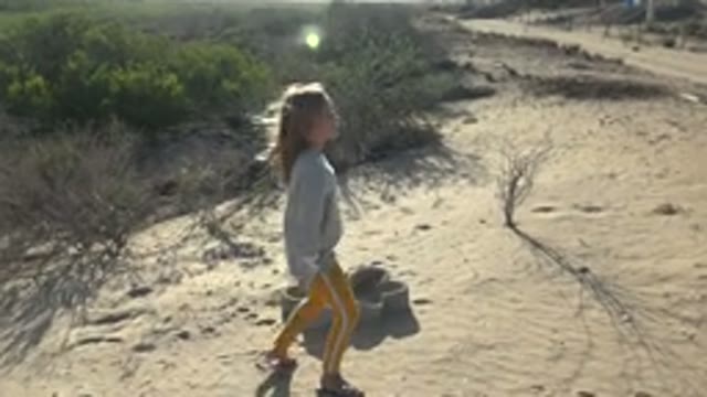 SAN CARLOS BCS MEXICO-2022: A Girl Walks Through Sandy Desert Terrain with Cacti