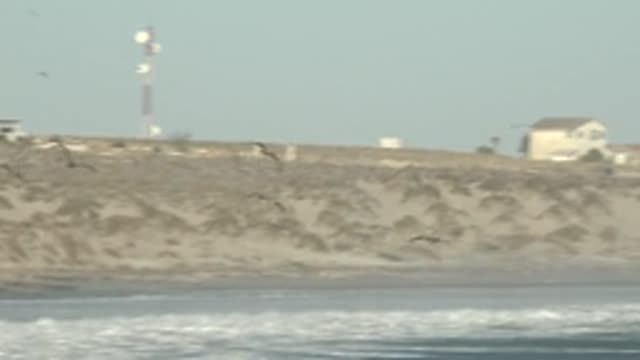 LA BOCANA BCS MEXICO-2022: Seabirds Flying over Ocean near Coastal Cliffs