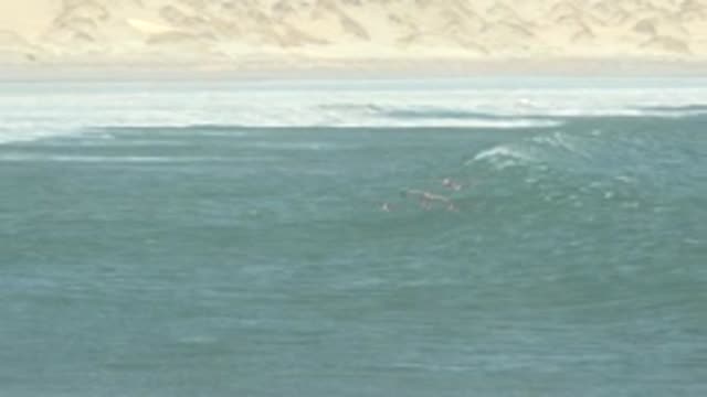 LA BOCANA BCS MEXICO-2022: Seabirds Soar Over Breaking Ocean Wave