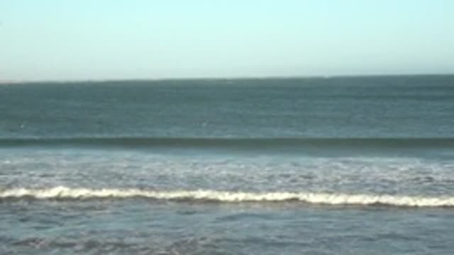 LA BOCANA BCS MEXICO-2022: Seagull Flying over Ocean Waves