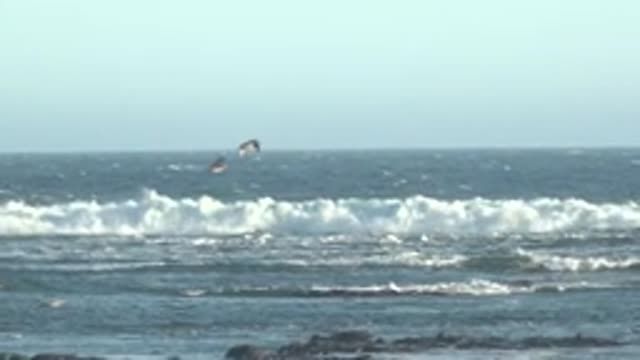 LA BOCANA BCS MEXICO-2022: Seagulls Flying over Ocean Waves