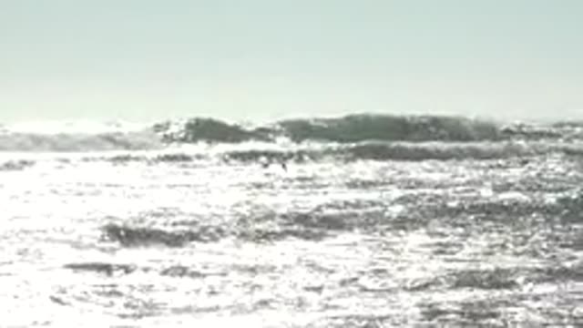 LA BOCANA BCS MEXICO-2022: Seagulls Soaring Over Churning Ocean Waves
