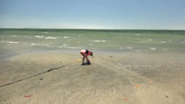 SAN CARLOS BCS MEXICO-2022: Child Playing with Sand on a Sunny Beach