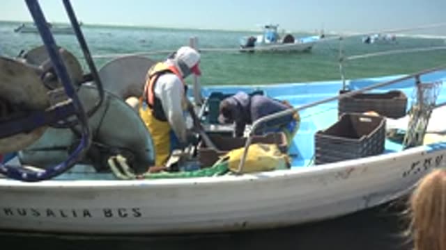 LA BOCANA BCS MEXICO-2022: Fishermen Handling Catch on Small Boat