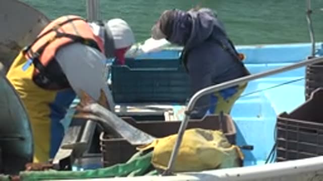 LA BOCANA BCS MEXICO-2022: Fishermen Sorting Fish on a Fishing Boat