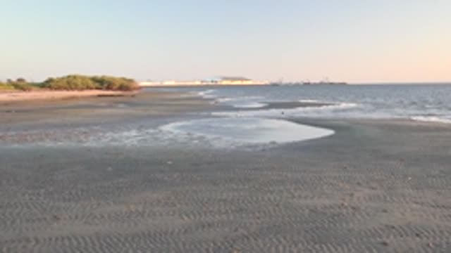 SAN CARLOS BCS MEXICO-2022: Gentle Waves Lapping on Dark Sandy Beach