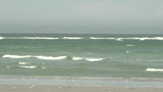 LA BOCANA BCS MEXICO-2022: Ocean Waves, Surfer, and Seabirds in Motion