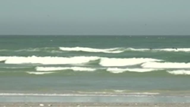 LA BOCANA BCS MEXICO-2022: Ocean Waves, Surfers, and Birds in Motion