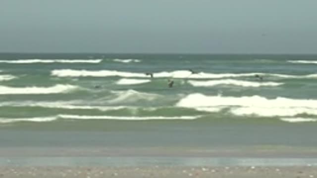 LA BOCANA BCS MEXICO-2022: Seagulls Soaring Over Churning Ocean Waves