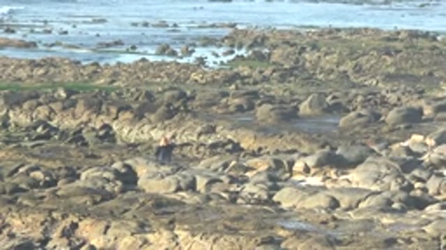 LA BOCANA BCS MEXICO-2022: Person Walking Across Rocky Shoreline