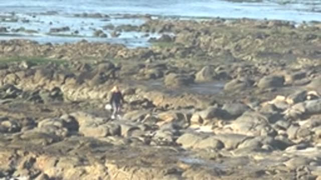 LA BOCANA BCS MEXICO-2022: Person Walking Across Rocky Coastal Terrain