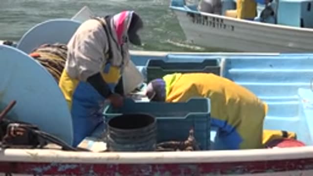 LA BOCANA BCS MEXICO-2022: Fishermen Sorting Catch on a Boat