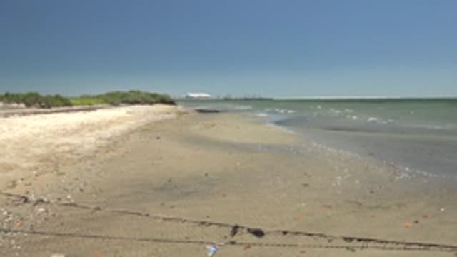 SAN CARLOS BCS MEXICO-2022: Gentle Ocean Waves Lapping a Sandy Shore with Distant Greenery