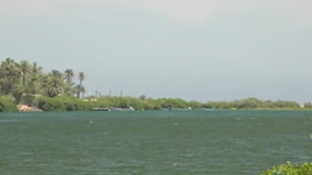 MULEGE BCS MEXICO-2022: Palm-fringed Waterway with Moving Small Boats