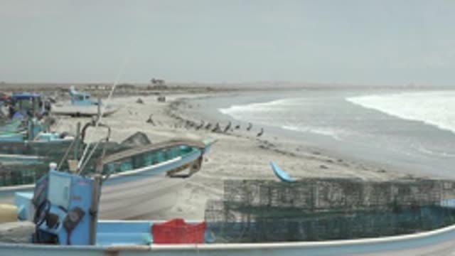 PUENTA ABREOJOS BCS MEXICO-2022: Fishing Boats and Birds on a Sandy Beach